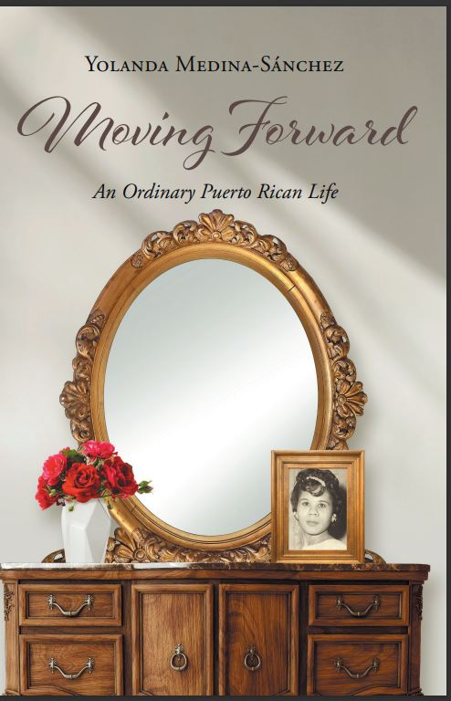 Book cover art with a mirror, picture, and dresser.
